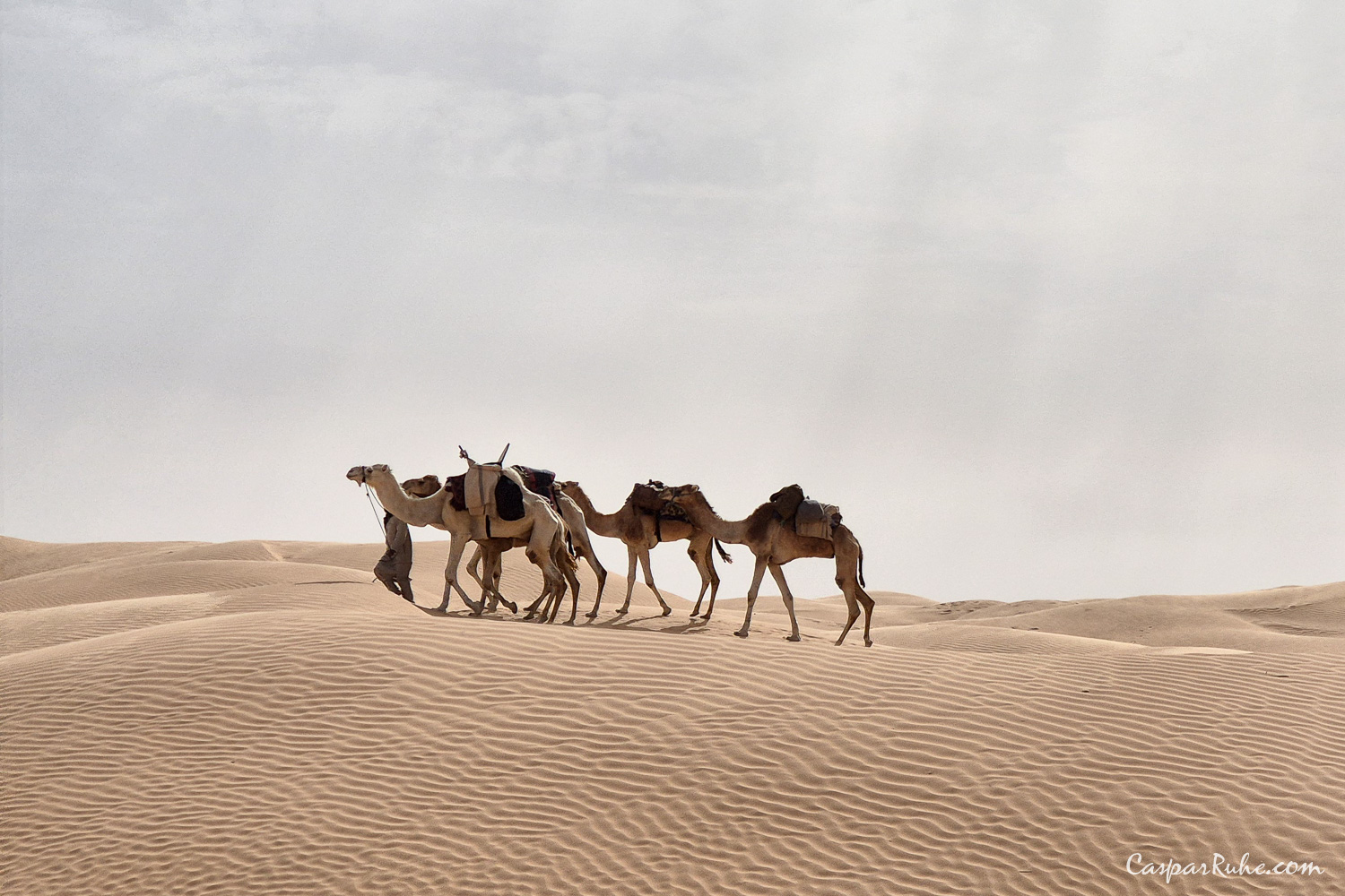 Jebil National Park